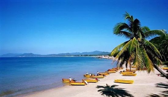 科技赋能海南生活，智能新体验全景呈现